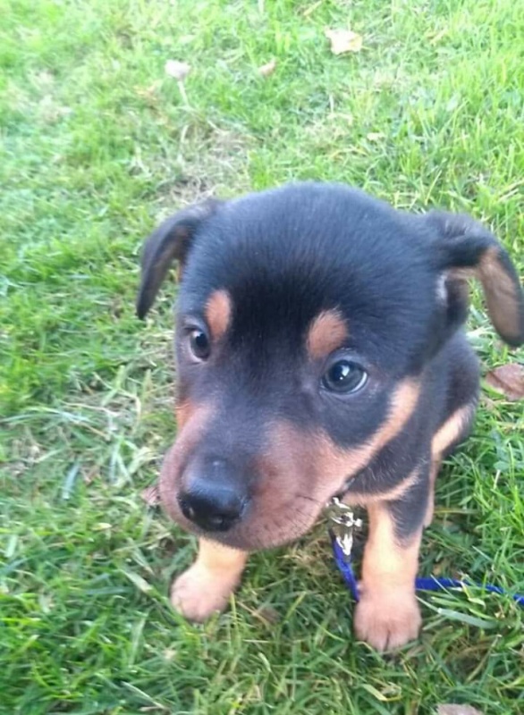 Foto WINSTON