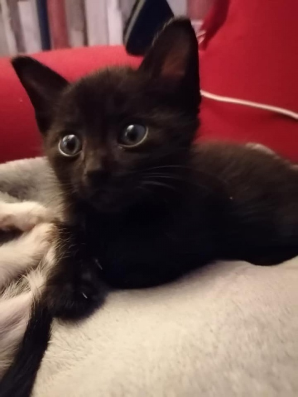 Foto Chita