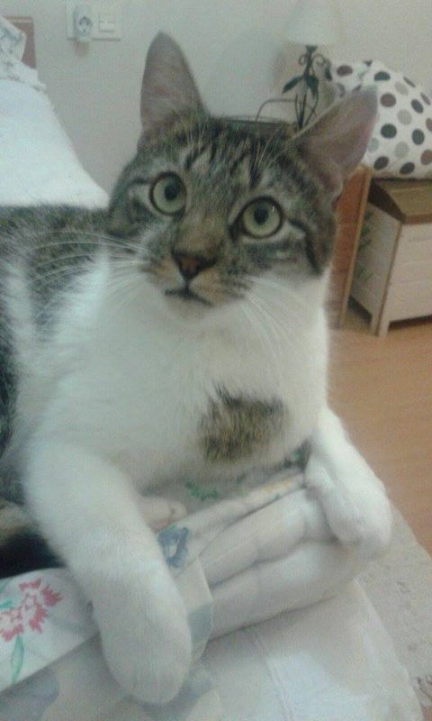 Foto Roni