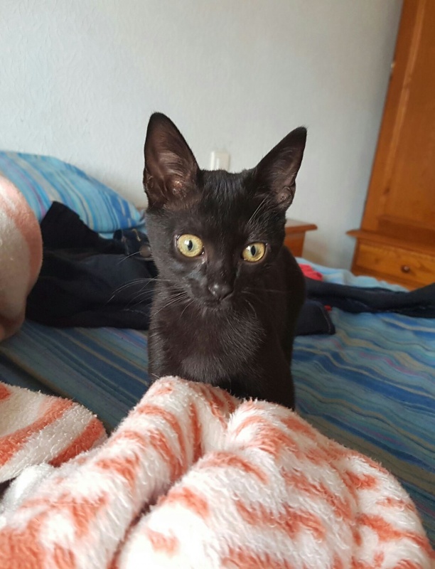 Foto Tiza