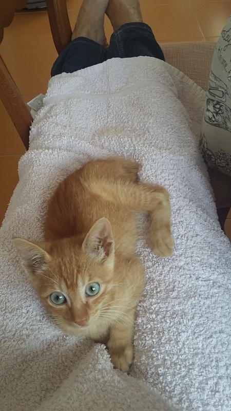 Foto Panchi