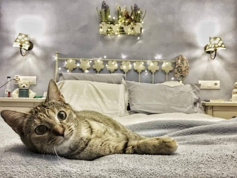 Foto Gretel