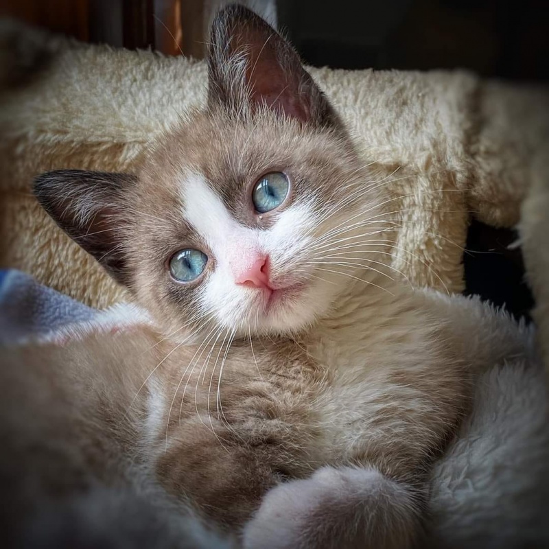 Foto Bella