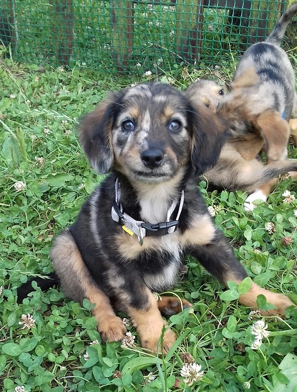 Foto Manchitas