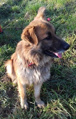 Foto Bruno