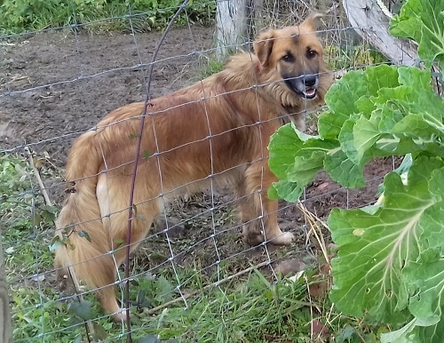 Foto Bruno