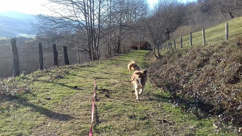Foto Bruno