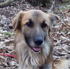Foto Bruno