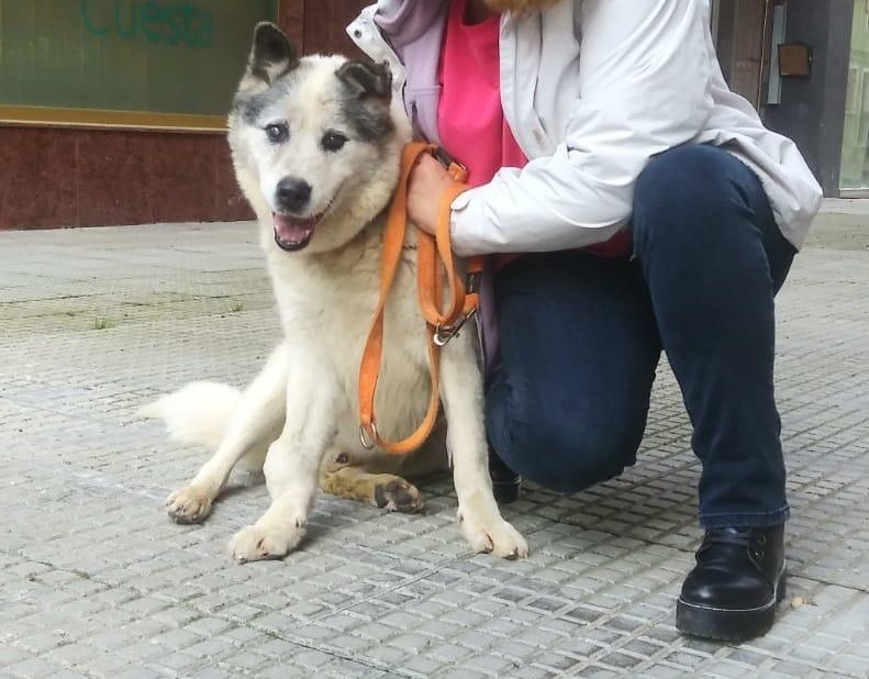 Foto Ron