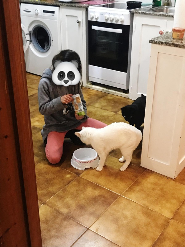Foto Indigo