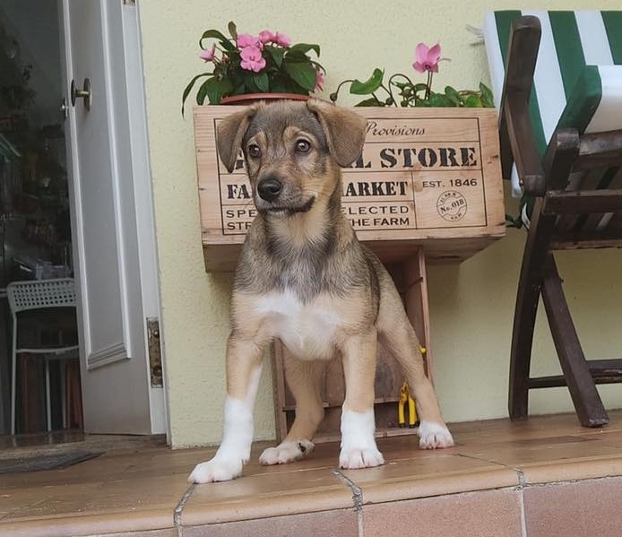 Foto Max