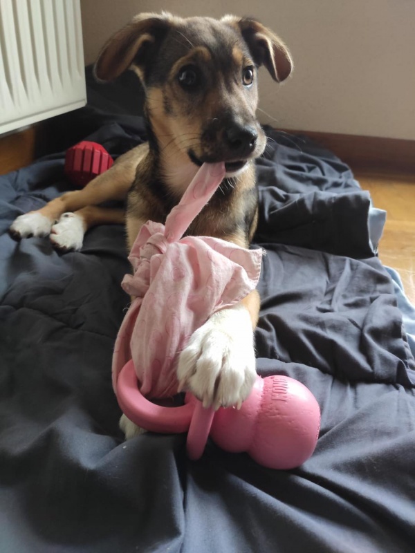 Foto Max