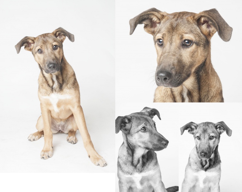Foto NALA