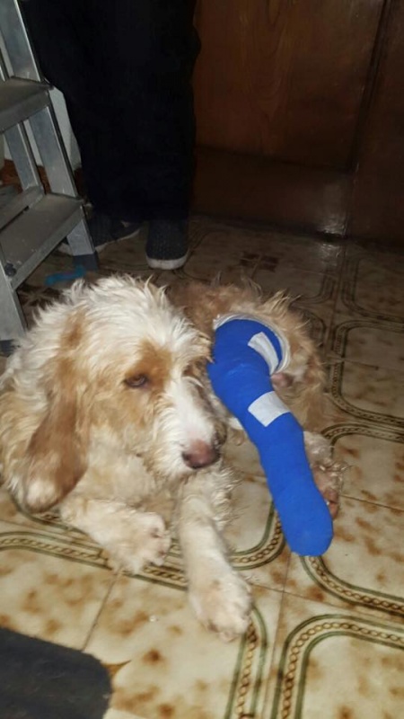 Foto RUFO