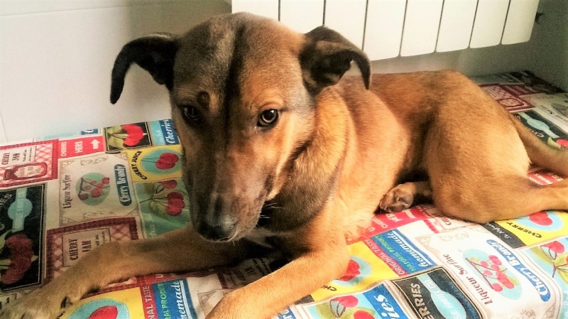 Foto NALA
