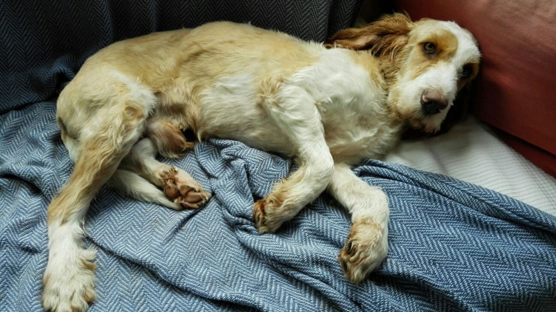 Foto RUFO