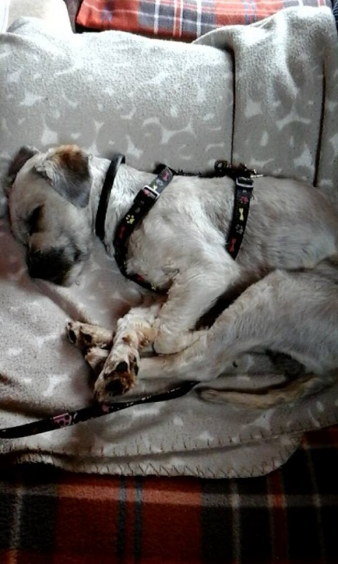 Foto ZAHIRA (ahora Lía)