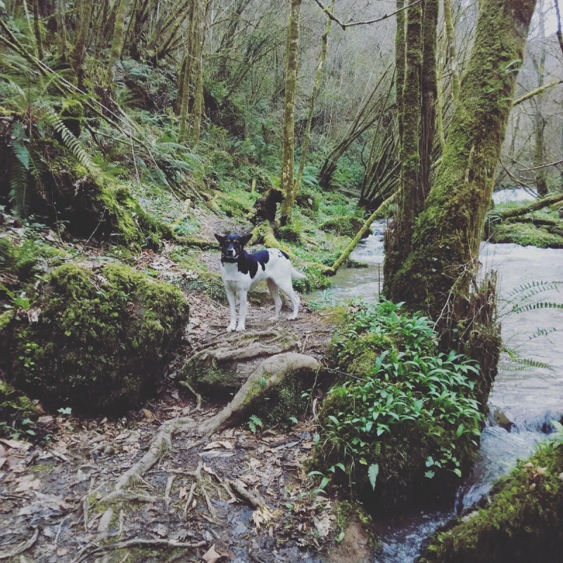 Foto KIARA