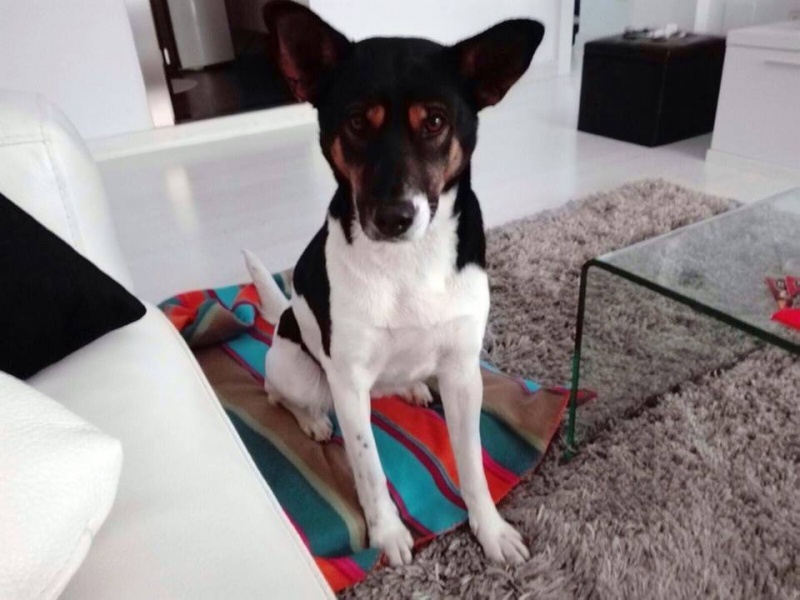 Foto KIARA