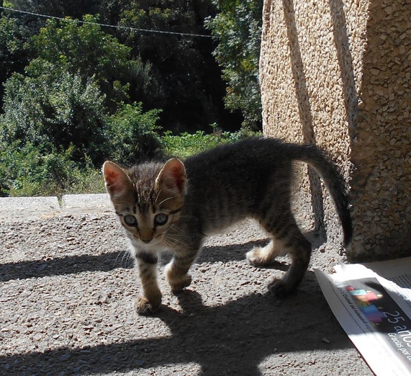 Foto FITO