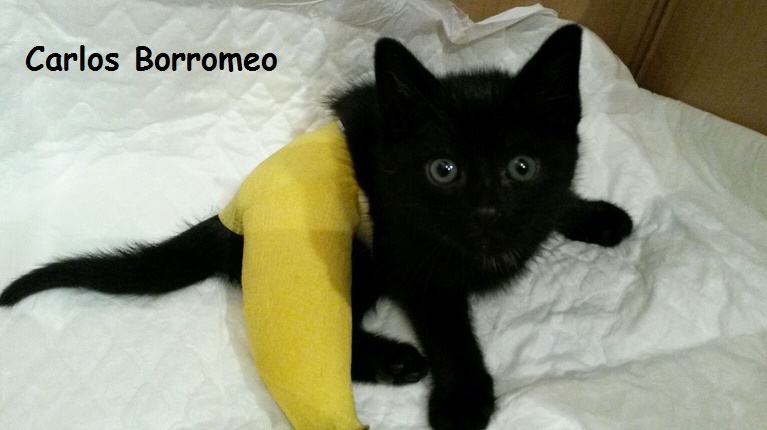 Foto CARLOS BORROMEO (ahora Franky)