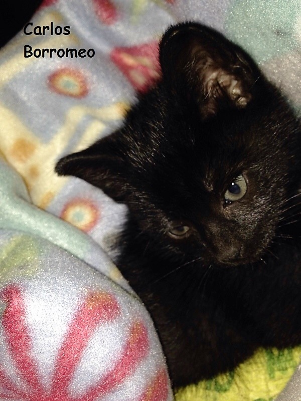Foto CARLOS BORROMEO (ahora Franky)