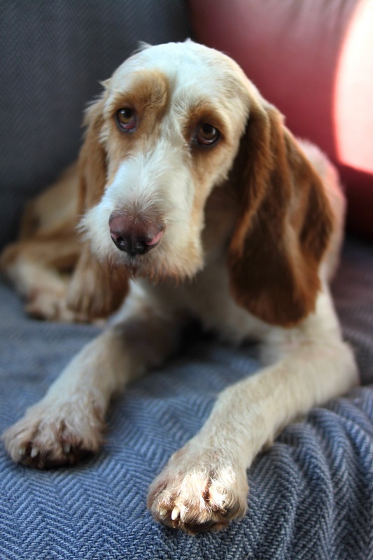 Foto RUFO