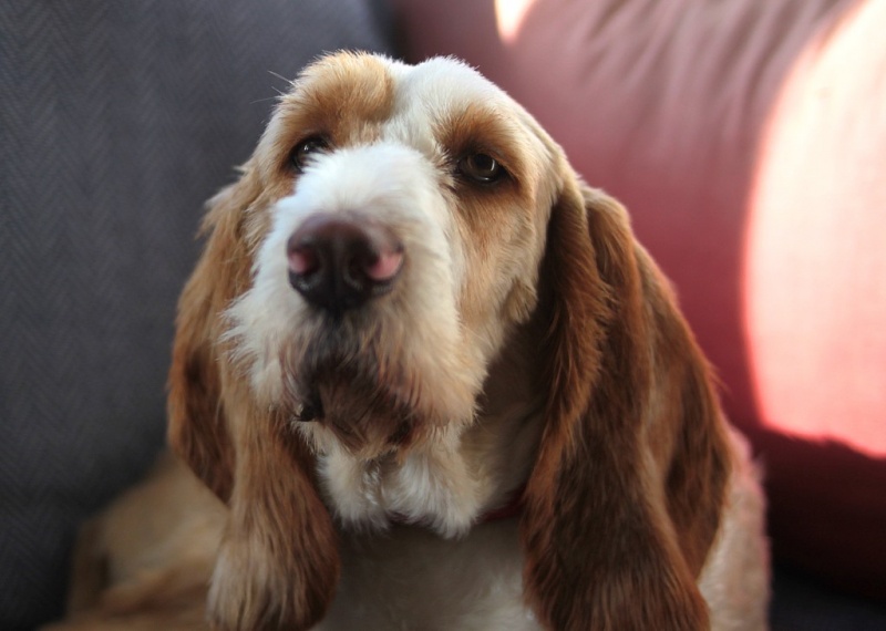 Foto RUFO