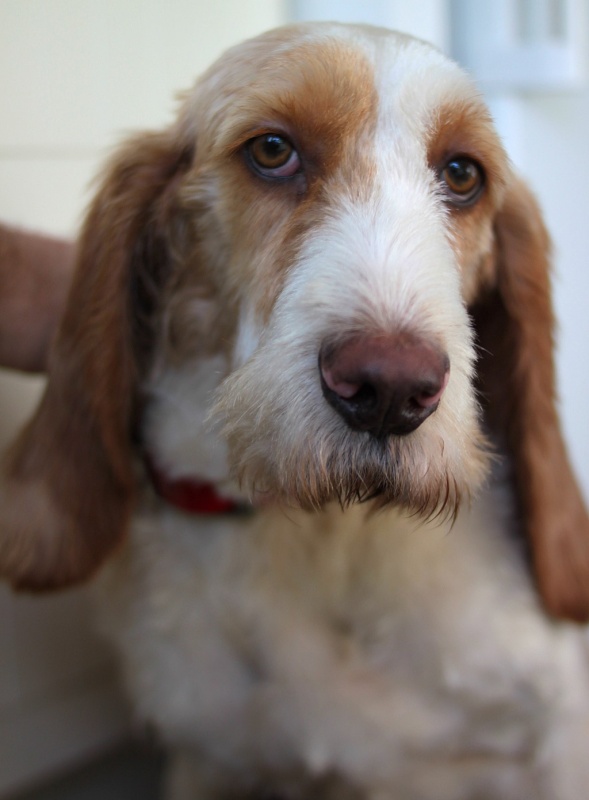 Foto RUFO
