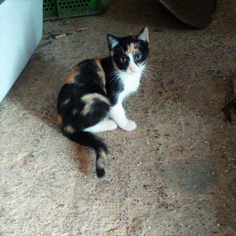 Foto NOA