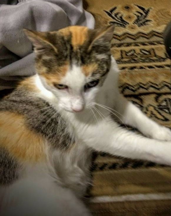 Foto MARUJINA