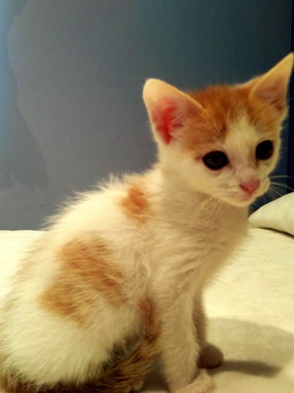 Foto CHARLIE