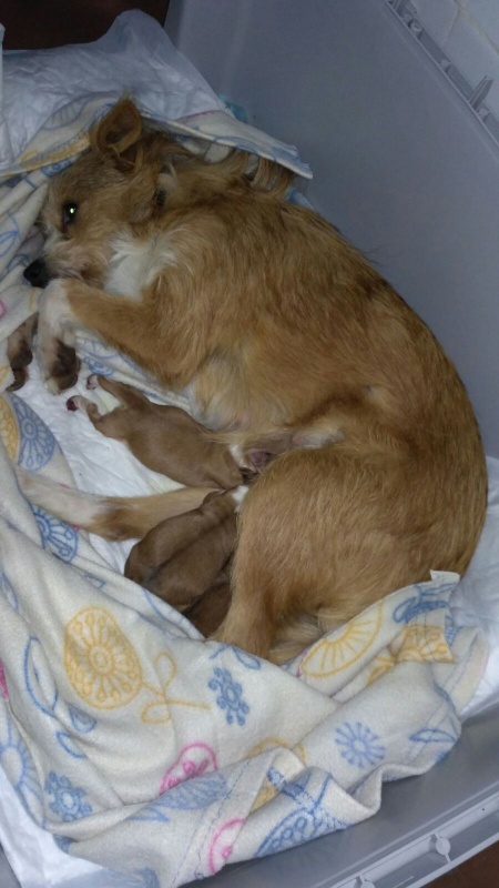 Foto LÚA
