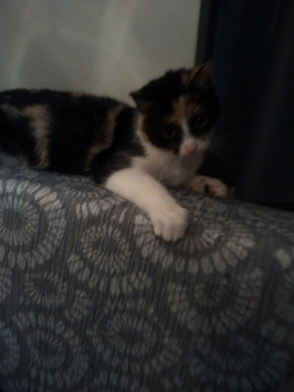 Foto NOA