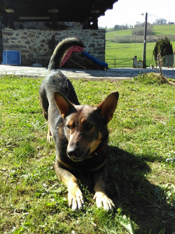 Foto Mauro