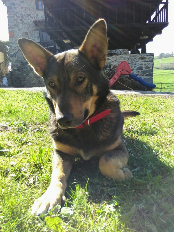 Foto Mauro