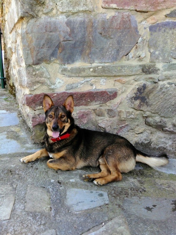 Foto Mauro