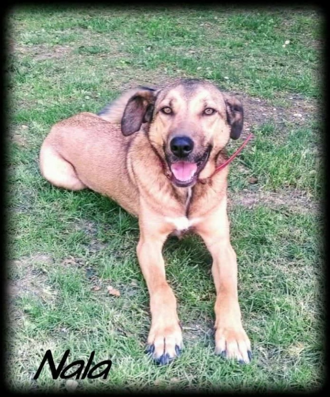 Foto NALA