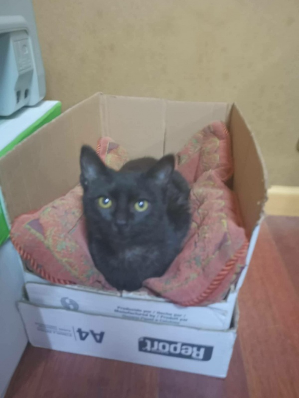 Foto Blanca