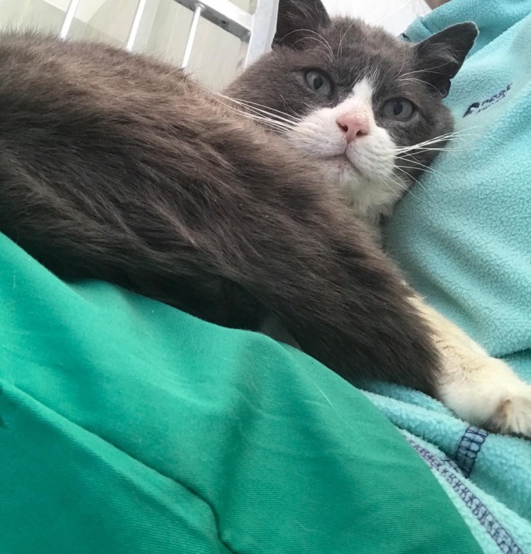 Foto Vivi
