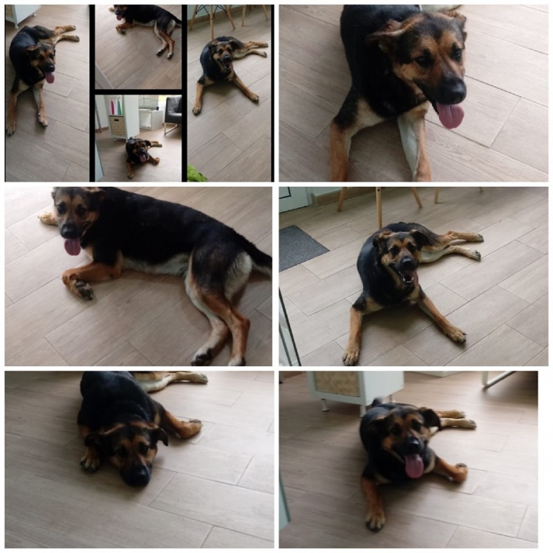 Foto Bimba