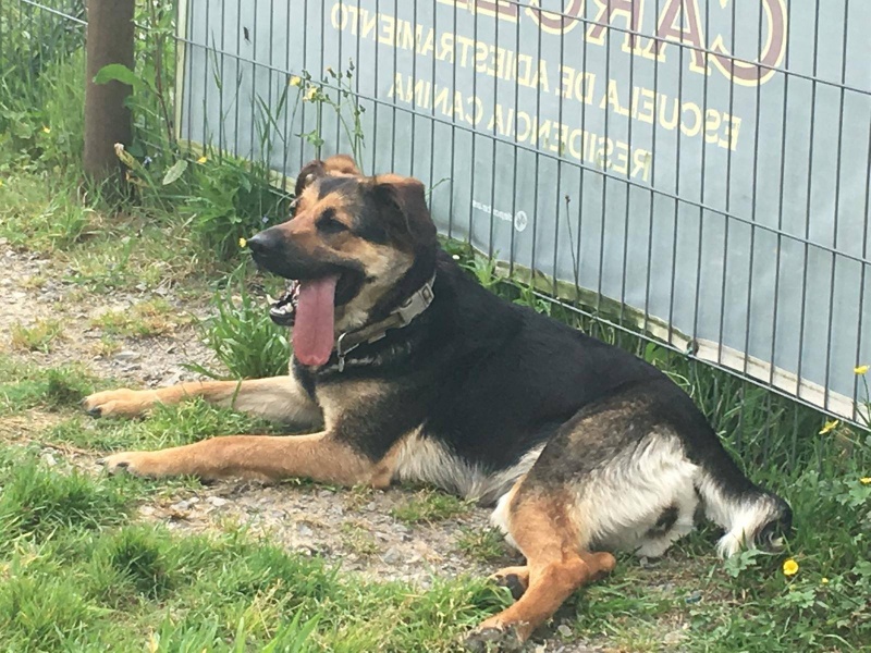 Foto Bimba