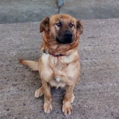 Foto Dakota