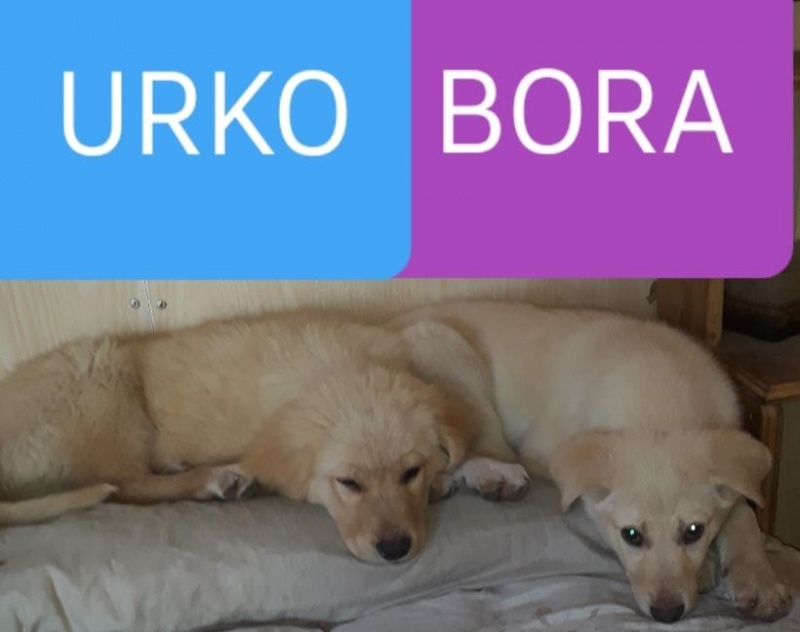 Foto Urko y Bora