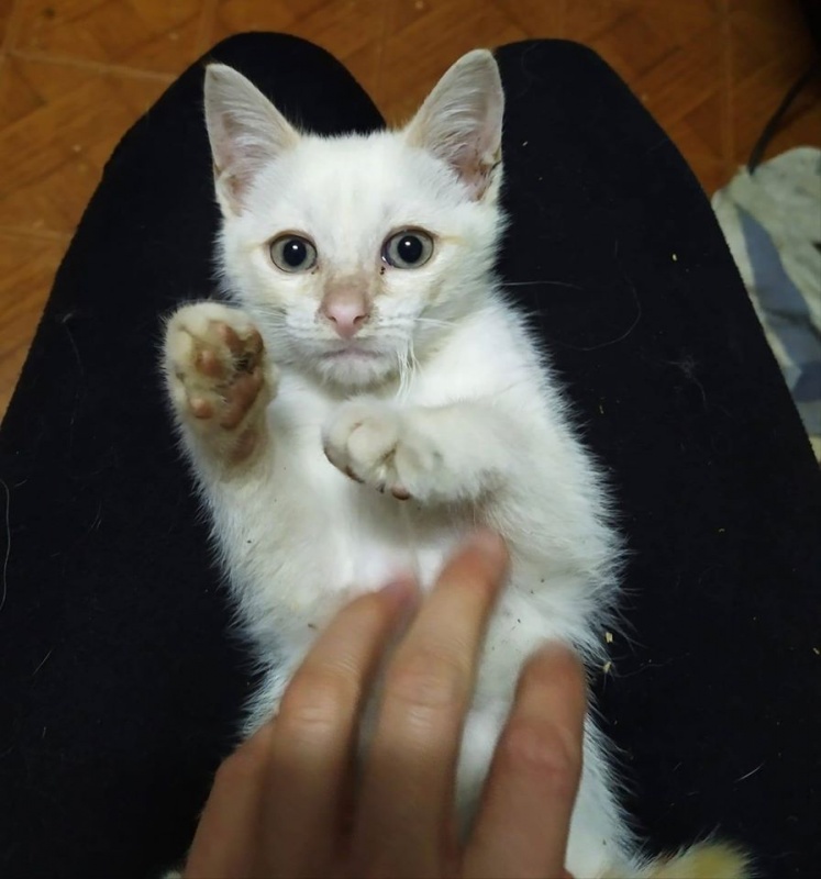 Foto Tita