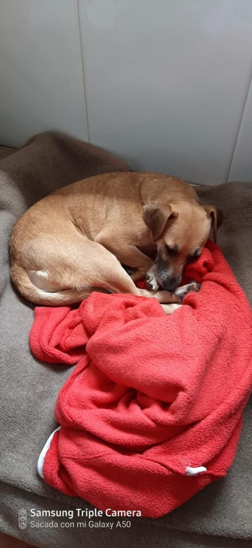 Foto Noa