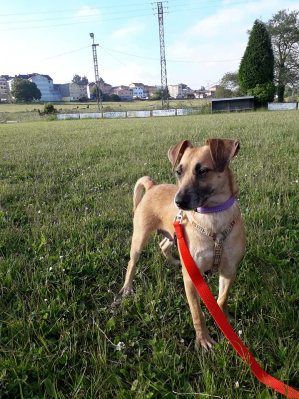 Foto Noa