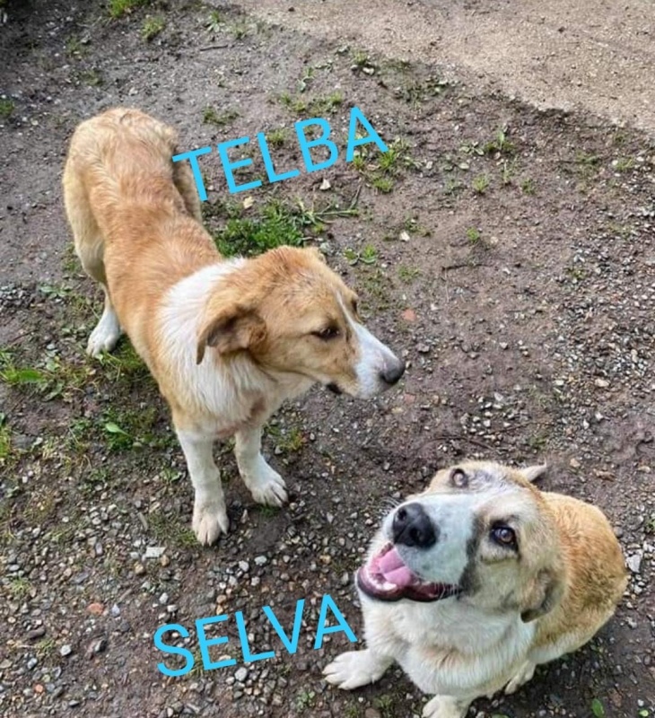 Foto Telva y Sam
