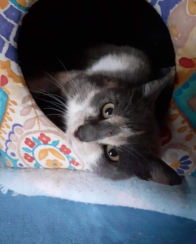 Foto Tina