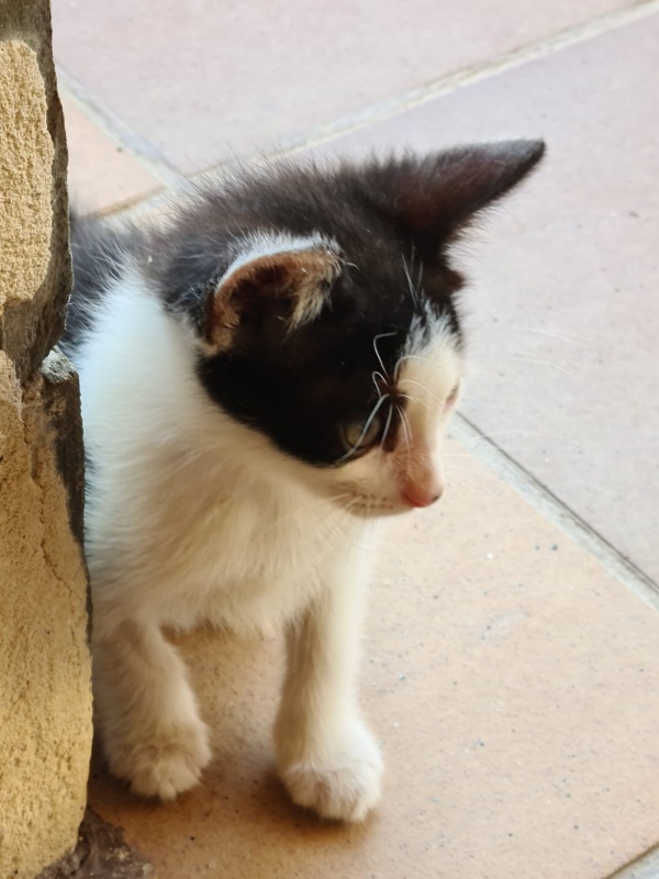 Foto Makki